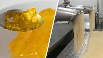 Из чего делают желатин? Вот причем здесь кости и кожа животных