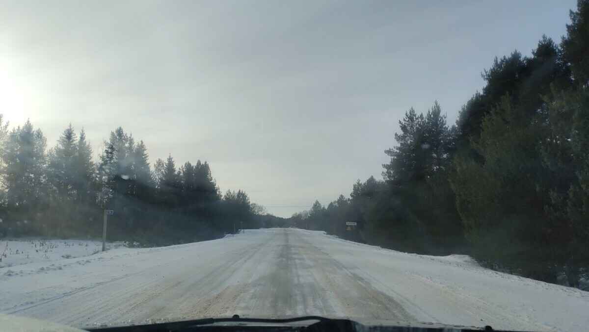 Белорусские лесники рапортовали о строительстве 100 км дорог в 2023 году. Где?