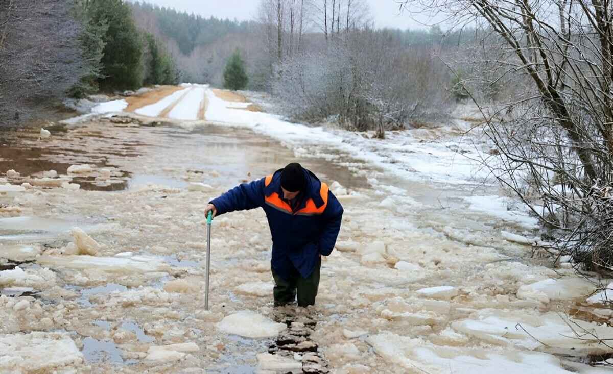 Фото: Иллюстрация 