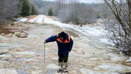 В Гомельской области затопило десятки домов и дороги — МЧС