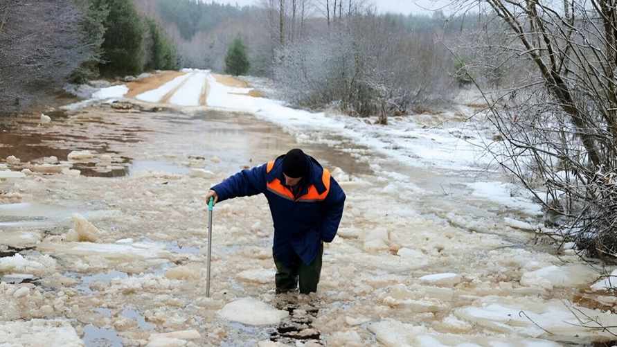 Фото: Иллюстрация