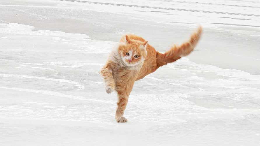 Фото иллюстрационное