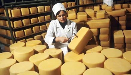 В НАН РБ назвали Беларусь мировым лидером по производству сыра. Как считали?