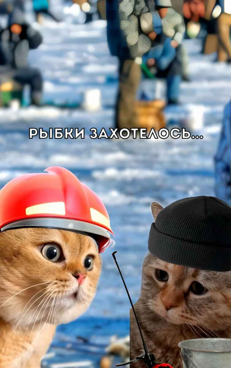 «Лучшего использования этих котов не видела!» – «Шедевральный» ролик белорусского МЧС собрал десятки тысяч просмотров