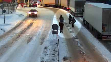 Из Беларуси в Литву пограничники экстрадировали собаку. Что случилось?