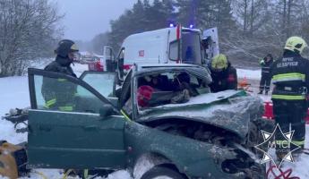 Под Полоцком в столкновении Audi и Skania погиб пассажир. Водитель фуры скрылся с места ДТП