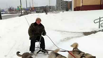 «У нас катаются на лайках» – 7-секундное видео из Бреста собрало треть миллиона просмотров