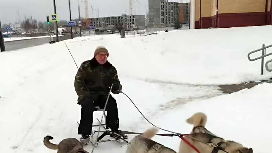 «У нас катаются на лайках» – 7-секундное видео из Бреста собрало треть миллиона просмотров