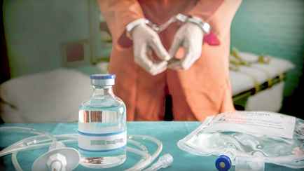 В США провели смертную казнь газом