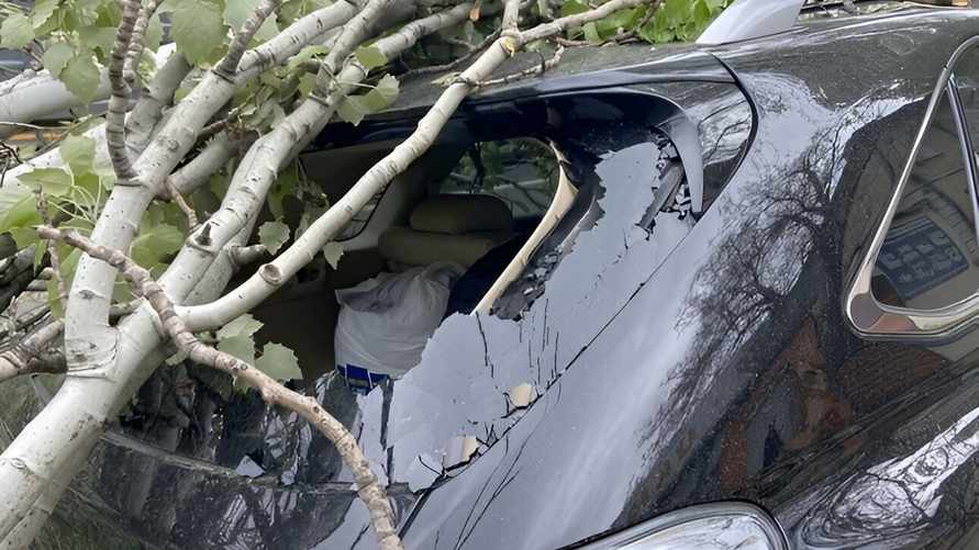 Фото носит иллюстративный характер.