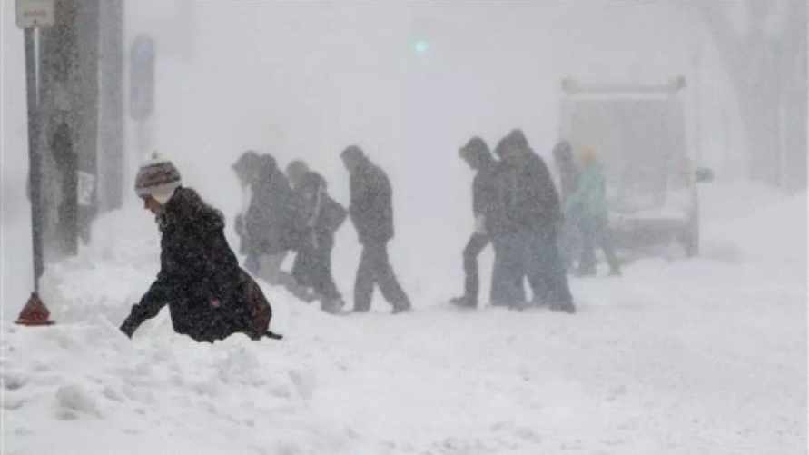 Фото иллюстрационное: AP / Ann Heisenfelt