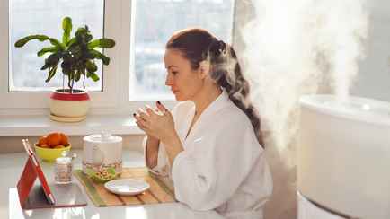 Кому обязательно нужен увлажнитель воздуха? Узнали, как выбрать лучший прибор