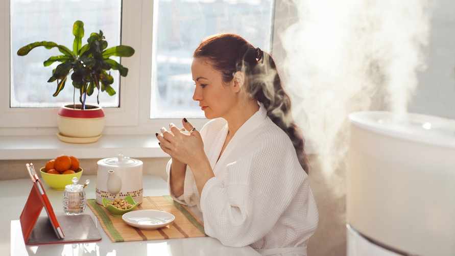 Кому обязательно нужен увлажнитель воздуха? Узнали, как выбрать лучший прибор