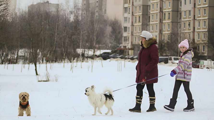 В ЖКХ предложили минчанам за свои деньги делать площадки для выгула собак. Но есть нюанс
