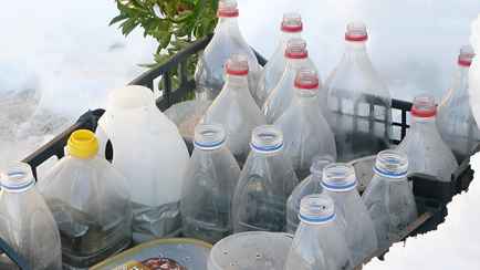 Какие овощи можно посеять белорусам зимой прямо на огороде? Для этого метода понадобятся только бутылки