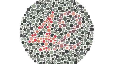 Какое число вы видите на картинке? Этот тест покажет, есть ли у вас проблемы со зрением