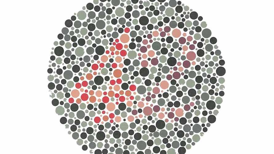 Какое число вы видите на картинке? Этот тест покажет, есть ли у вас проблемы со зрением