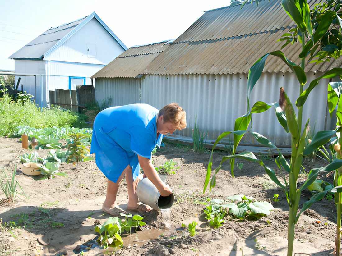 У кого из белорусов могут забрать дачи, а кому отключить свет? Юристы рассказали, что изменилось в 2024 году