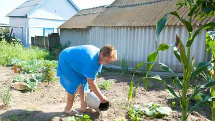 У кого из белорусов могут забрать дачи, а кому отключить свет? Юристы рассказали, что изменилось в 2024 году