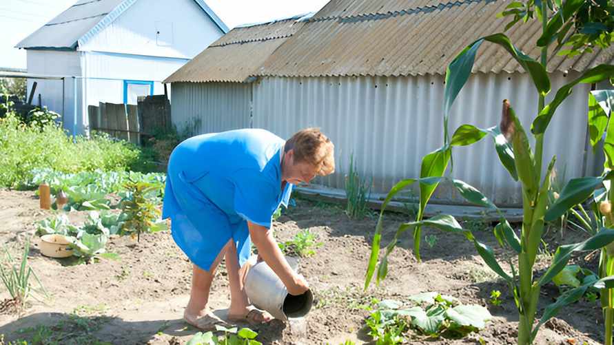 У кого из белорусов могут забрать дачи, а кому отключить свет? Юристы рассказали, что изменилось в 2024 году