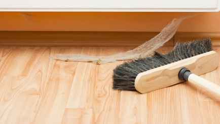 Как навсегда избавиться от паутины в доме? Эти 7 простых способов на выбор помогут прогнать пауков