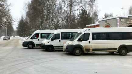 Кто окажется «вне закона» в госреестре перевозок пассажиров? Рассказали в Минтрансе