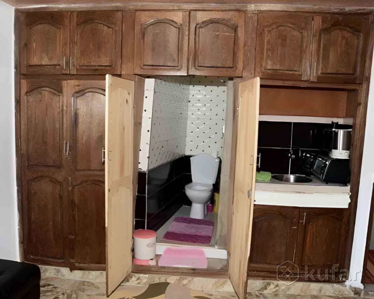 Кухня в туалете, унитаз в шкафу. В Минске предложили снять необычную однушку
