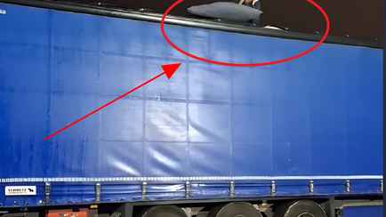 «Спасибо за плюс одну фобию» — Белорус в TikTok показал, почему езда за фурами зимой может закончится разбитым авто