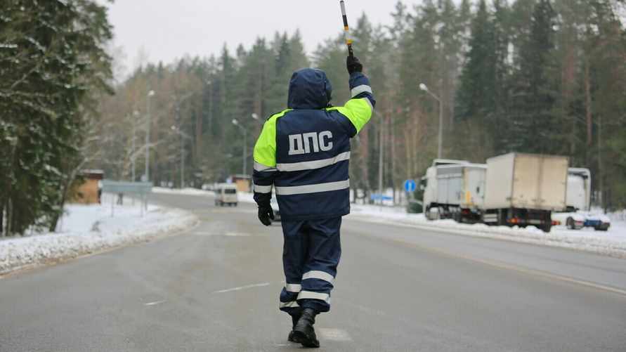 Фото иллюстрационное: av.by