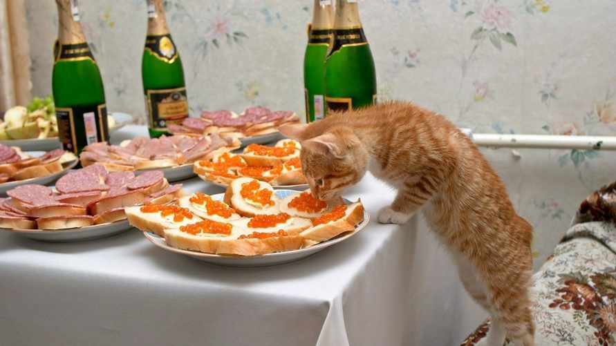 Как белорусам правильно встретить Старый Новый год? Узнали, что поставить на стол и как погадать с кошкой