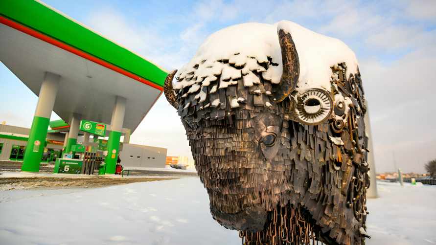 Фото – иллюстративное.