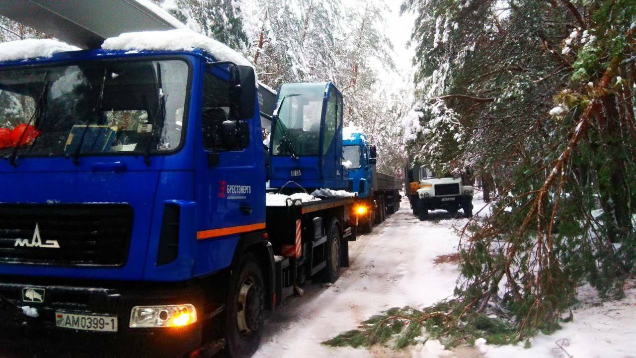 «Чуть на тот свет не отправилась» — Белорусы показали последствия ледяного дождя на Брестчине