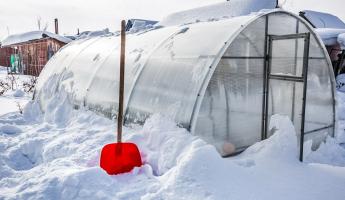 9 важных дел в саду и на огороде в январе. Зачем водить хороводы вокруг деревьев и лепить снеговиков?