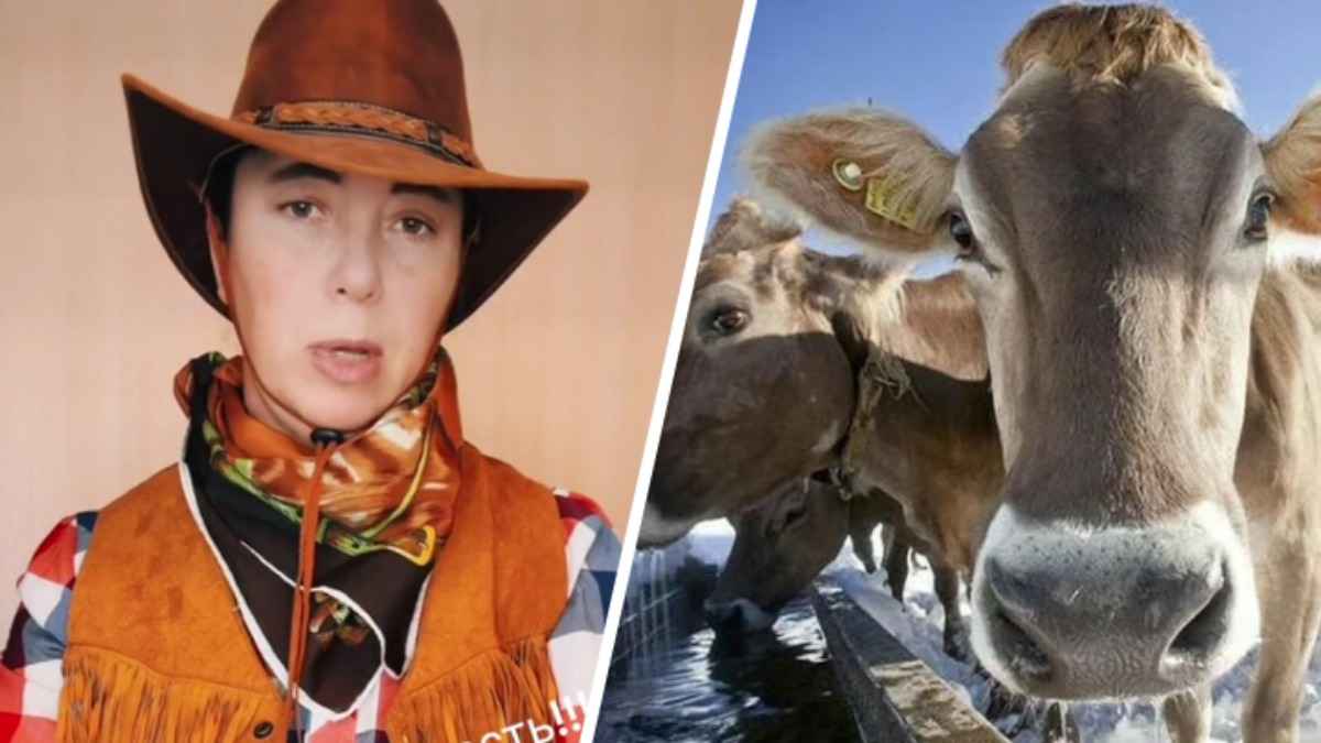 «Немного лукавит» – В милиции рассказали, почему не вмешались в ТикТок-скандал белорусских фермеров