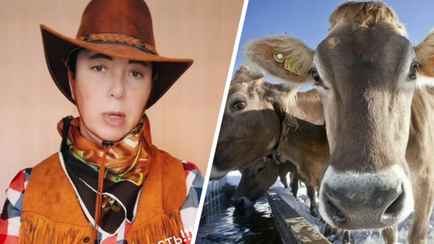 «Немного лукавит» – В милиции рассказали, почему не вмешались в ТикТок-скандал белорусских фермеров