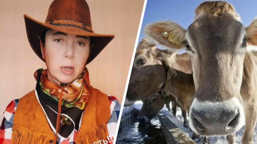 «Немного лукавит» – В милиции рассказали, почему не вмешались в ТикТок-скандал белорусских фермеров