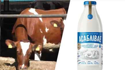 Белорусам предложили «эксклюзивное» молоко А2 от красных коров по 5,73 рубля за литр. Где купить?