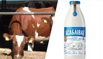 Белорусам предложили «эксклюзивное» молоко А2 от красных коров по 5,73 рубля за литр. Где купить?