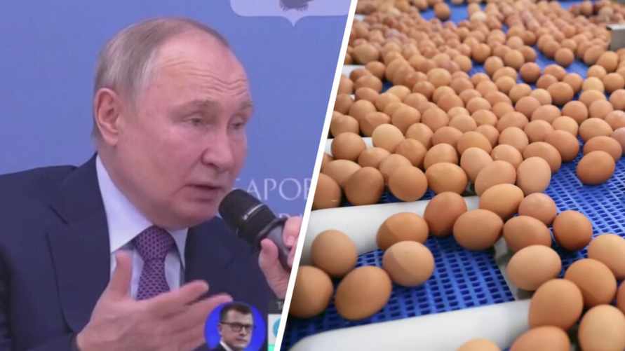 "Доходы чуть-чуть у людей выросли" — Путин объяснил рост цен на яйца в РФ