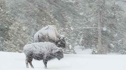 От +1 до -19°C и ветер. В Белгидромете рассказали, что ещё скандинавский и южные фронты устроят с 15 по 17 января