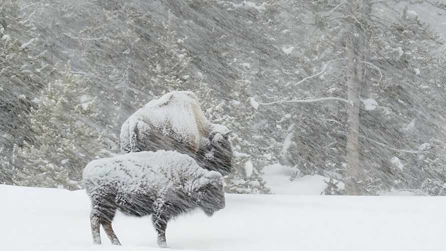 От +1 до -19°C и ветер. В Белгидромете рассказали, что ещё скандинавский и южные фронты устроят с 15 по 17 января