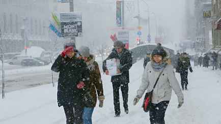 Беларусь накрыли метели. Дорожники рассказали, как быстро уберут снег