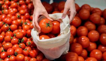 Как сделать магазинные помидоры вкуснее? Поможет один фрукт или вода (но не только)