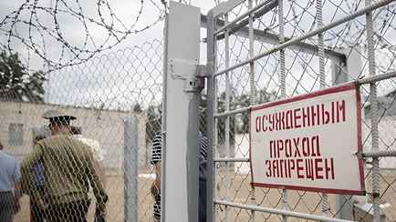 Лукашенко поручил МВД «нетрадиционно» провести амнистию в Беларуси и «перелопатить» Уголовный кодекс