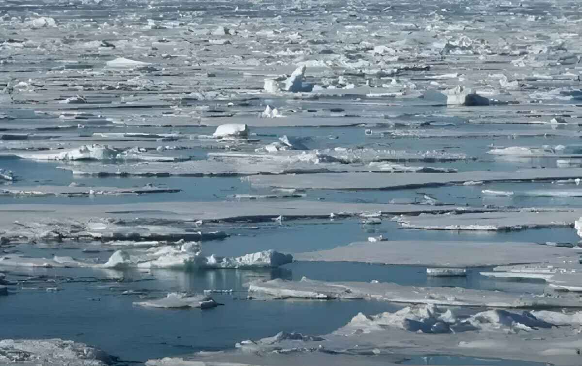 Обрезанная картинка. Целую смотрите ниже