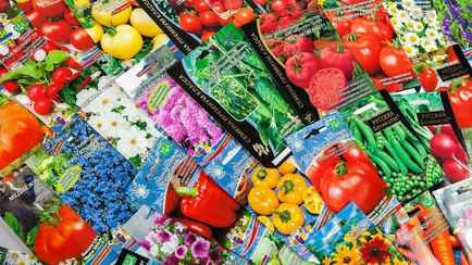 Что означает F1 на упаковке семян? Разобрались в различных маркировках