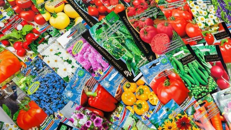 Что означает F1 на упаковке семян? Разобрались в различных маркировках