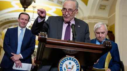 Республиканцы и демократы в сенате США договорились о помощи Украине. Но есть нюанс?