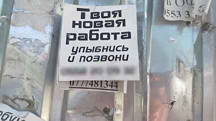 В Беларуси появилась вакансия с зарплатой 8,72 тыс рублей. Что нужно делать?