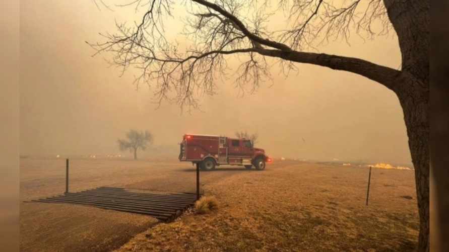 «Выглядит катастрофически» - В США из-за лесных пожаров в 60 округах ввели режим ЧС